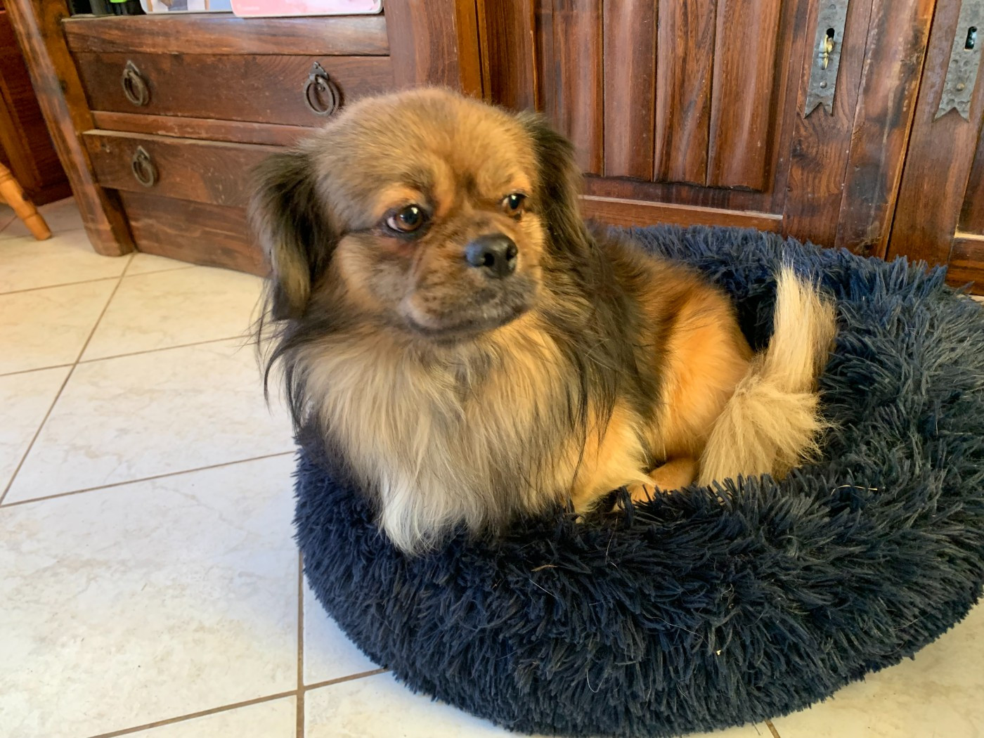 old'up (Sans Affixe)